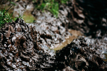 Wet muddy road