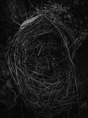 black and white background