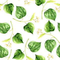 watercolor seamless pattern with drawing linden branch