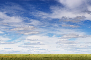 Obraz premium blue sky with variegated clouds over the field
