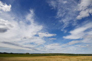 blue sky with variegated clouds over the field