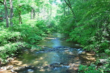 Landschaft im Shenandoah National Park, Virginia