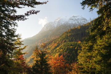 Beautiful morning light in the german alps with mountain säuling in fall autumn colors