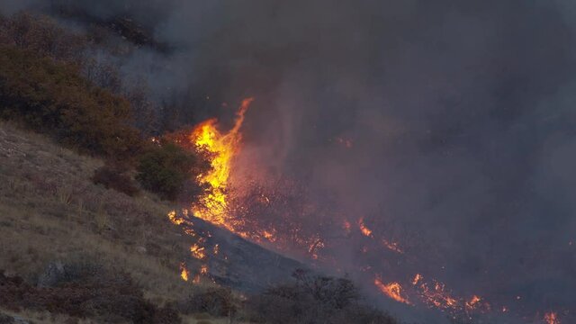 Flames rising high as wildfire burns oak brush on mountain in Utah during dry season.