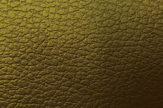 1 190 Best 黄土色 Images Stock Photos Vectors Adobe Stock