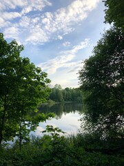 lake in the forest