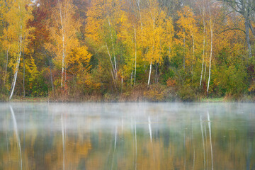 Morning mist near at a lake in the autumn