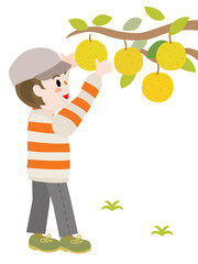梨狩りをする男の子