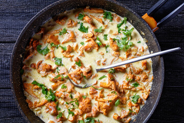 creamy chanterelle sauce in a panhot creamy chanterelle sauce in a pan