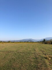 Fototapeta premium landscape with sky