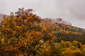 Fototapeta premium Regnerischer Herbsttag