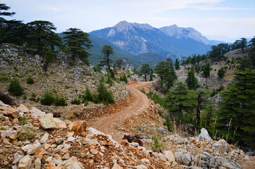 Windy dirt road in the mountains. Hiking on Lycian Way in Taurus Mountains in Turkey.