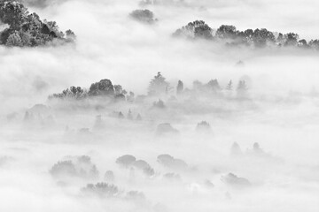Landscape with fog, black and white photography