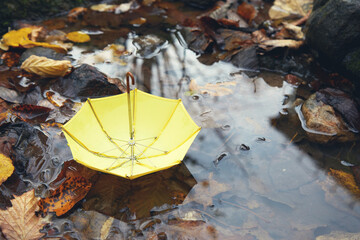 Yellow umbrella in a poddle with autumn fall leaves. Autumn concept