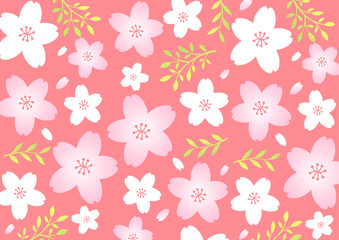 桜のパターンイラスト