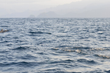 Seascape with ripples at Kiluan Gulf, Indonesia.