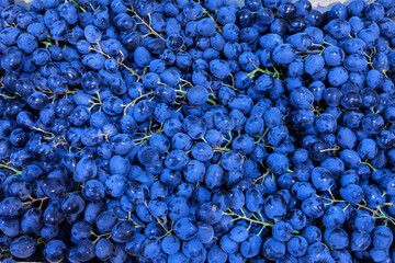 Ripe grapes in wooden boxes. Local produce at the autumn farmers' market. Background of blue grapes