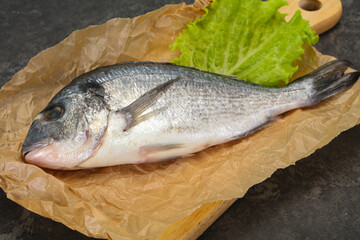 Raw Dorada fish  for cooking