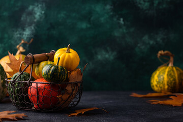 Various decorative pumpkins. Autumn concept