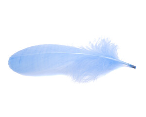 Blue fluffy feather isolated on the white