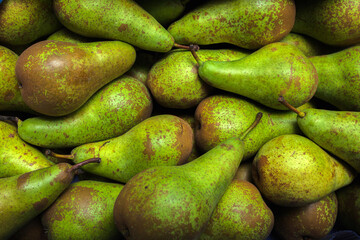 Fresh pear conference on the sail at the vegetable market