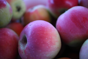 Harvested ripe red garden apples.