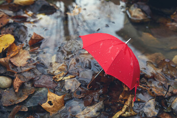 Red umbrella in a poddle with autumn fall leaves. Autumn concept