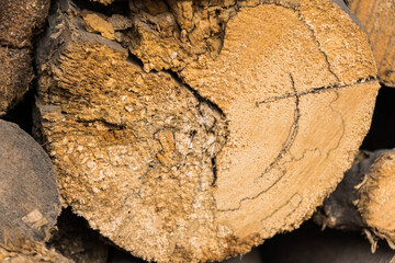 A pile of wooden logs neatly stacked, ready for winter
