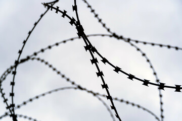 Black barbed metal wire against the gray sky.