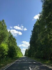 road in the forest