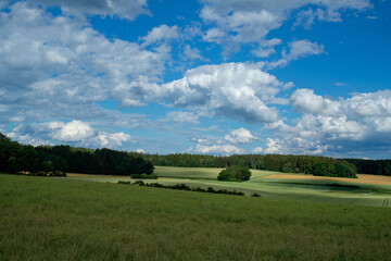 Naklejka premium Blauer Wolkenhimmel über einer Sommerlandschaft mit einem dunklen Waldrand am Horizont