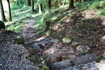 The view of a path in the forest at Japan.