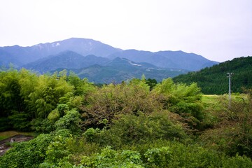 Fototapeta na wymiar The view of Japanese mountains and trees.