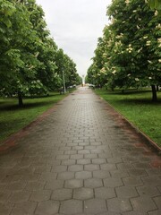 path in the park