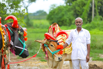 Indian farmer celebrating pola festival