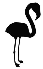 Silhouette mit einem Flamingo