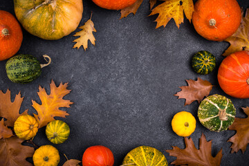 Various decorative pumpkins. Autumn concept