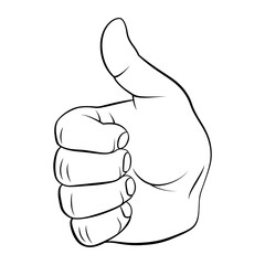 Hand Showing Symbol Like. Making Thumb up Gesture. Like Positive Fist on White Backdrop. Thin Line Icon for Website Design. A Realistic Black and White Sketch
