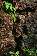 Ancient wall. Maharashtra state. India.