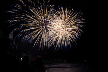 fireworks against the dark night sky