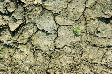 top view texture of drought earth ground