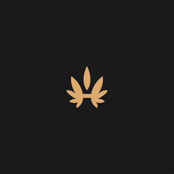 h letter logo design. medical marijuana  cannabis green leaf logo.
