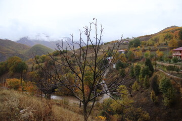 The landscape formed in the forests in the mountains in autumn, the dance of yellow and orange colors, a village on a mountain