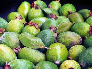 A feijoa fruits (yet known as acca sellowiana) on a dark gray background.
