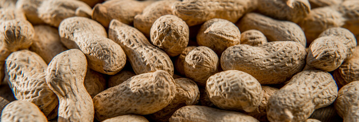 Dried peanuts closeup photo. Peanut in the shell. Food background of peanuts, healthy vegan food