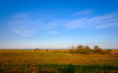 Fototapeta premium Autumn landscape with winding dirt road leading to circular forest and sea under the blue cloudy sky