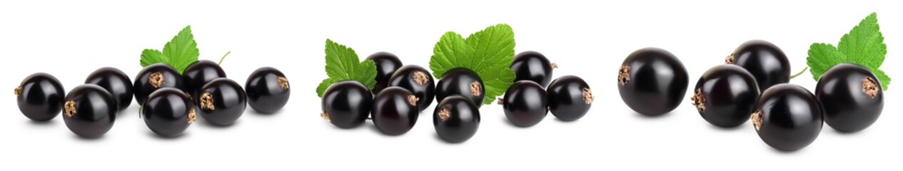 black currant with leaves isolated on white background with clipping path and full depth of field. Set or collection