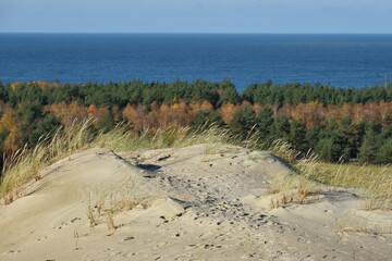 Sandy Grey Dunes at the Curonian Spit in Lithuania