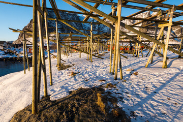 Empty wooden racks for hanging and drying cod to make stockfish on the Lofoten islands near the...