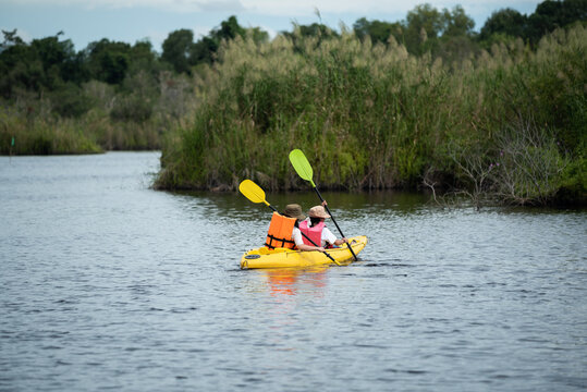 Travel Kayaking, Women Paddling Transparent Canoe Kayak in peat swamp forest wetlands in mornine time, Rayong botanic garden, A Wetland Sanctuary of Eastern Thailand, Rayong Province, Thailand